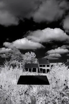 Andra Day interpreta a en Letter to the Free