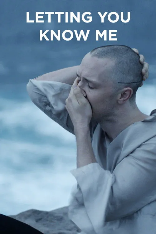 Póster de Letting You Know Me