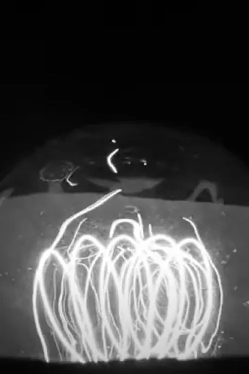 Craig Bennett interpreta a  en Lights off