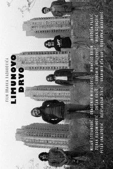 Póster de Limunovo drvo