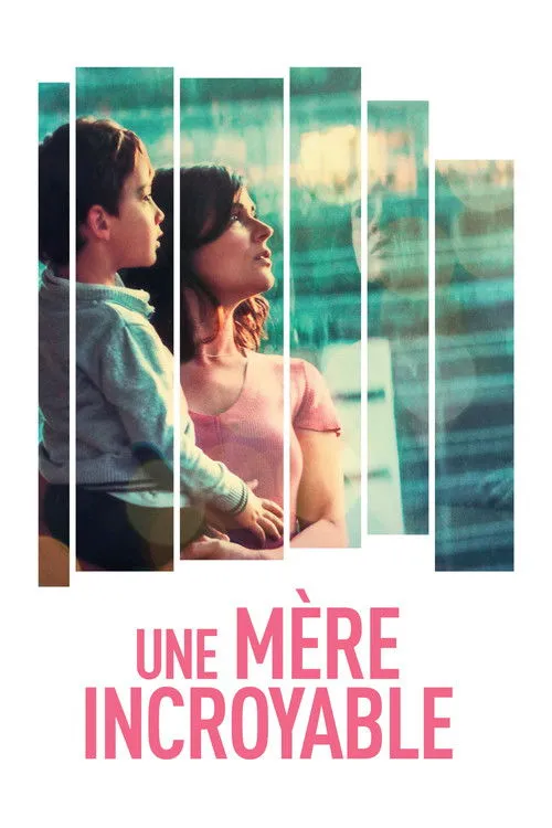 Póster de Litigante