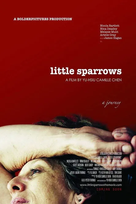 Póster de Little Sparrows