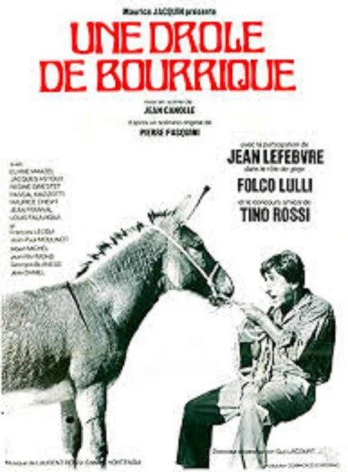 Portada de L'âne de Zigliara