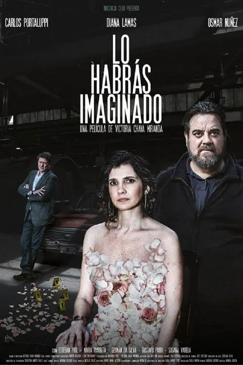 Póster de Lo habrás imaginado