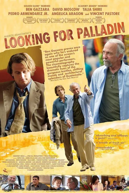 Póster de Looking for Palladin