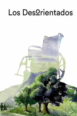 Póster de Los desorientados