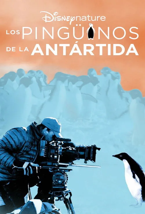 Póster de Los pingüinos de la Antártida