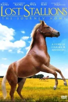 Póster de Lost Stallions: The Journey Home