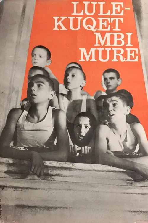 Timo Flloko interpreta a Mësuesi en Lulëkuqet mbi mure