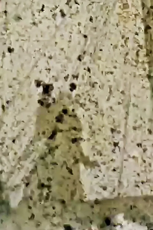 Max Schreck interpreta a Nosferatu en Luzern Viper