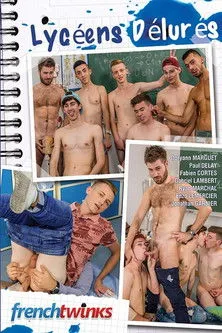 Póster de Lycéens Délurés