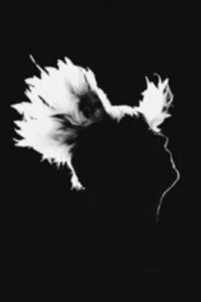 Matthieu Chedid interpreta a Self en M - Bercy 17.12.2010