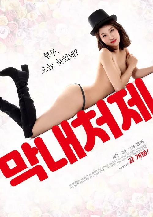 Póster de 막내 처제