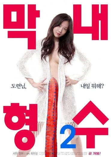 Póster de 막내 형수 2