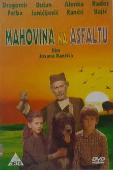 Mirjana Blaškovic interpreta a  en Mahovina na asfaltu