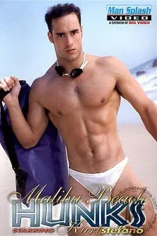 Póster de Malibu Beach Hunks