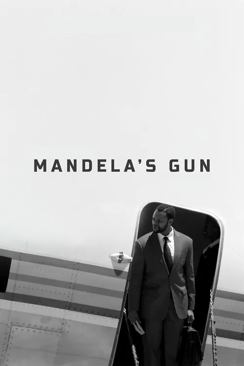 Póster de Mandela's Gun