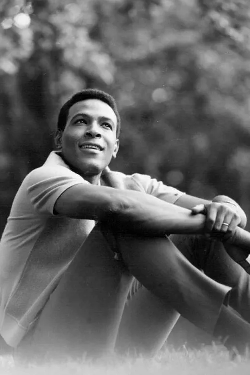 Póster de Marvin Gaye: What's Going On