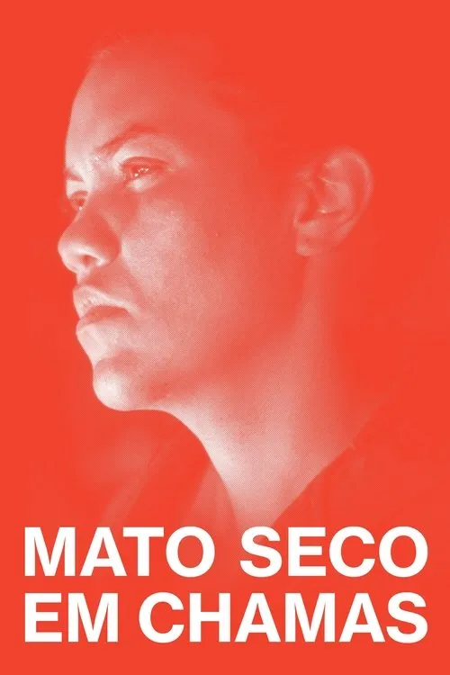 Póster de Mato Seco em Chamas