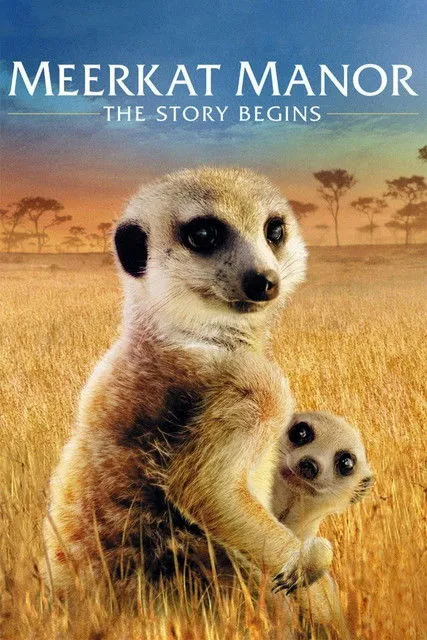 Póster de Meerkat Manor: The Story Begins