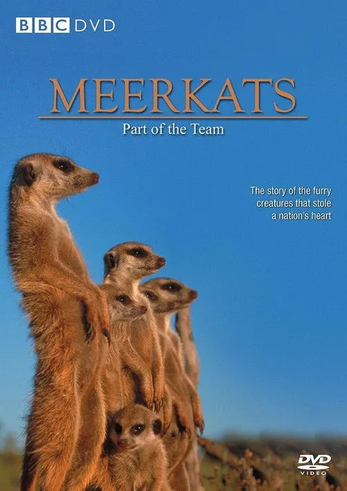Simon King interpreta a Narrator en Meerkats: Part of the Team