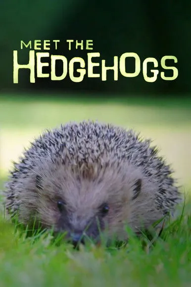 Steve Backshall interpreta a Self - Presenter en Meet the Hedgehogs