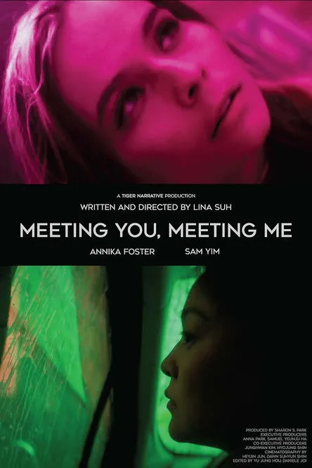 Póster de Meeting You, Meeting Me