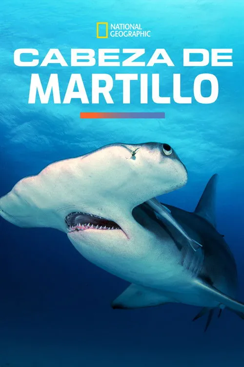 Póster de Mega Hammerhead