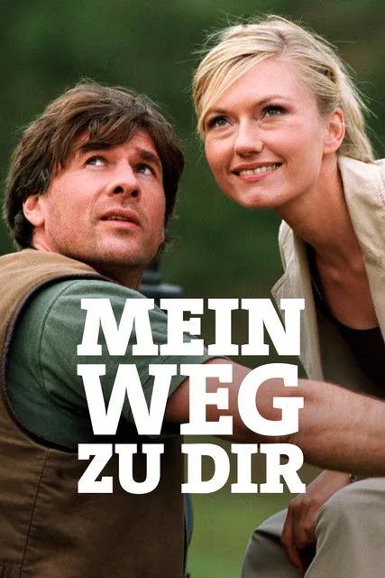 Póster de Mein Weg zu Dir