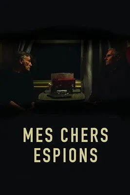 Póster de Mes chers espions