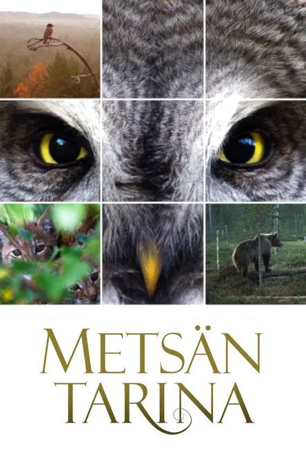 Póster de Metsän tarina