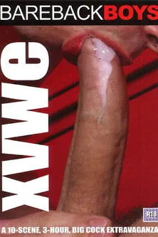 Portada de XVWE