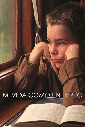 Póster de la película Mi vida como un perro