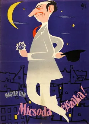 István Rozsos interpreta a Csapodi Tomi, grafikus en Micsoda éjszaka!