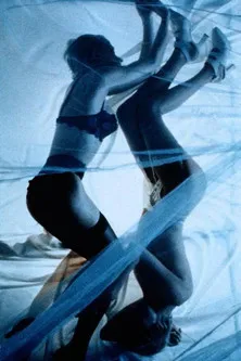 Póster de Mille désirs