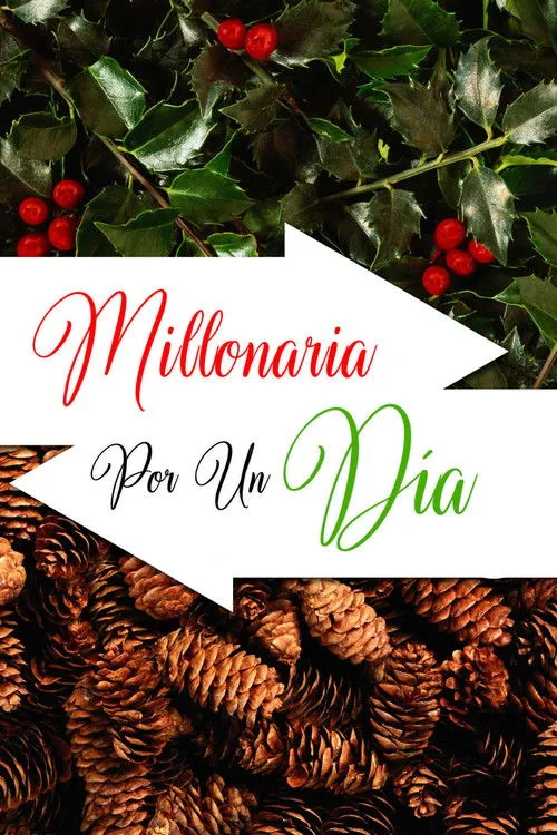 Póster de Millonaria por un día