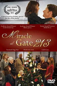 Póster de Miracle at Gate 213