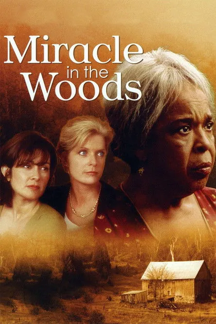 Póster de Miracle in the Woods