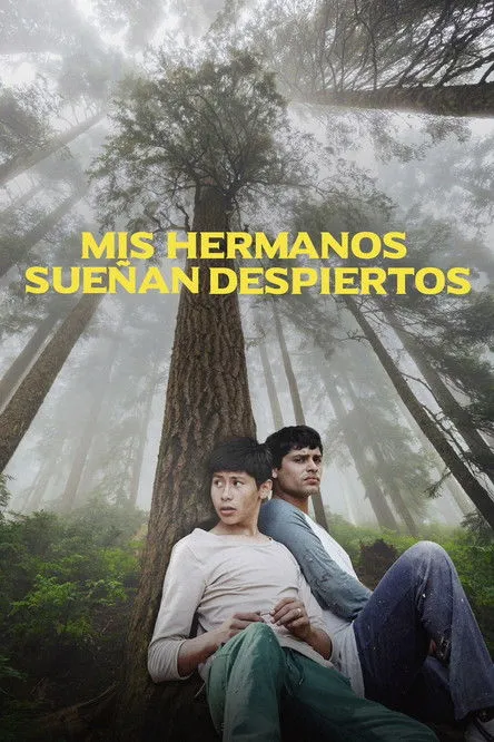 Póster de Mis hermanos sueñan despiertos