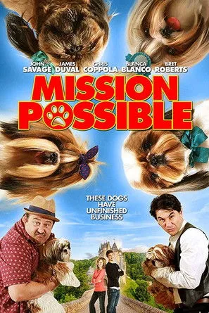 Póster de Mission Possible