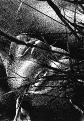 Sergei Chernov interpreta a en Мочебуйцы-труполовы