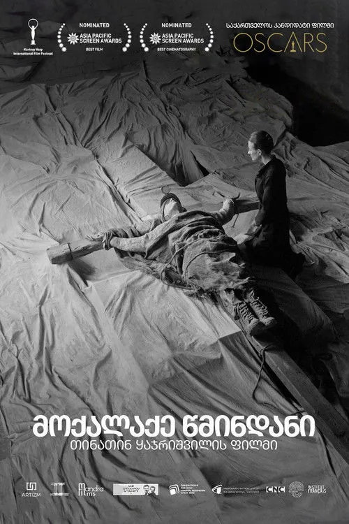 Póster de მოქალაქე წმინდანი