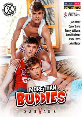 Póster de More than Buddies
