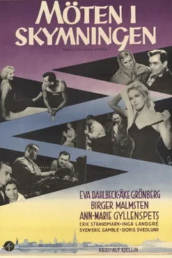 Póster de la película Möten i skymningen
