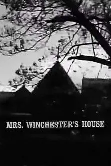 Póster de la película Mrs. Winchester's House