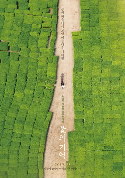 Póster de 물의 기억