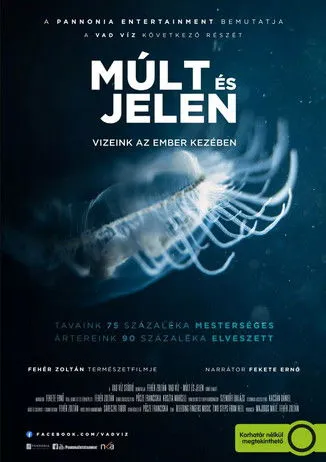 Póster de Múlt és jelen - Vizeink az ember kezében