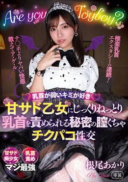 Póster de MVSD-508 I Like You With Your Sensitive Nipples. Secret Vaginal Chaotic Intercourse With Sweet