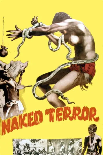 Póster de la película Naked Terror
