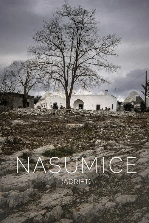 Póster de Nasumice